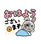 ブルーアイモカ（個別スタンプ：16）