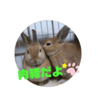みんなと一緒 3（個別スタンプ：2）