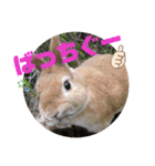 みんなと一緒 3（個別スタンプ：3）