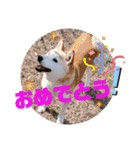 みんなと一緒 3（個別スタンプ：5）