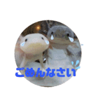 みんなと一緒 3（個別スタンプ：7）