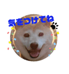みんなと一緒 3（個別スタンプ：8）