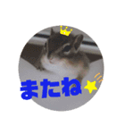 みんなと一緒 3（個別スタンプ：9）