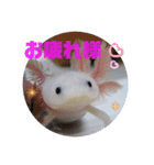 みんなと一緒 3（個別スタンプ：10）