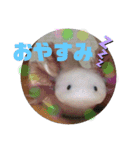 みんなと一緒 3（個別スタンプ：13）