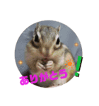 みんなと一緒 3（個別スタンプ：15）