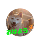 みんなと一緒 3（個別スタンプ：16）