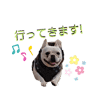 フレブル まるもも（個別スタンプ：6）