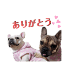 フレブル まるもも（個別スタンプ：8）