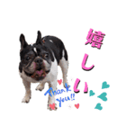 フレブル まるもも（個別スタンプ：28）