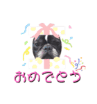 フレブル まるもも（個別スタンプ：38）