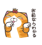 ランラン猫 24 (日本語)（個別スタンプ：5）