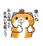 ランラン猫 24 (日本語)（個別スタンプ：7）