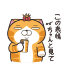 ランラン猫 24 (日本語)（個別スタンプ：35）