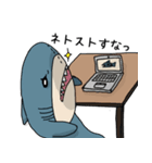 サメちゃんズスタンプ（個別スタンプ：4）