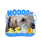 ずらら（個別スタンプ：4）