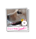 ずらら（個別スタンプ：8）