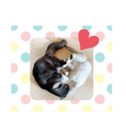 ラブラブなビビ姫とカイロス王子☆11（個別スタンプ：1）