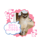 ラブラブなビビ姫とカイロス王子☆11（個別スタンプ：2）