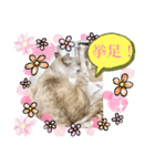ラブラブなビビ姫とカイロス王子☆11（個別スタンプ：3）