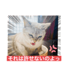 ラブラブなビビ姫とカイロス王子☆11（個別スタンプ：4）