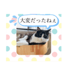 ラブラブなビビ姫とカイロス王子☆11（個別スタンプ：6）