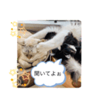 ラブラブなビビ姫とカイロス王子☆11（個別スタンプ：8）
