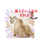 ラブラブなビビ姫とカイロス王子☆11（個別スタンプ：12）