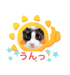 ラブラブなビビ姫とカイロス王子☆11（個別スタンプ：14）