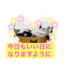 ラブラブなビビ姫とカイロス王子☆11（個別スタンプ：15）