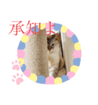 ラブラブなビビ姫とカイロス王子☆11（個別スタンプ：16）