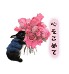 口下手なハーフうさぎのメッセージ（個別スタンプ：9）