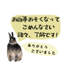 口下手なハーフうさぎのメッセージ（個別スタンプ：22）