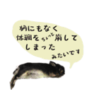口下手なハーフうさぎのメッセージ（個別スタンプ：26）