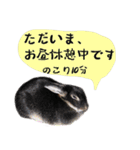 口下手なハーフうさぎのメッセージ（個別スタンプ：27）