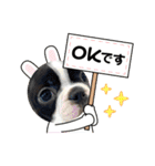 ボストンテリア。Boston terrier（個別スタンプ：1）