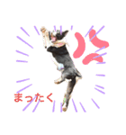 ボストンテリア。Boston terrier（個別スタンプ：6）