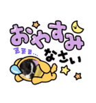 ボストンテリア。Boston terrier（個別スタンプ：13）