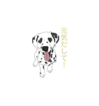 わんこのスタンプ-ダルメシアン-（個別スタンプ：1）