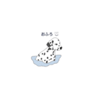 わんこのスタンプ-ダルメシアン-（個別スタンプ：5）