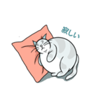 デブジャン（個別スタンプ：18）