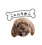 だふさんの使えるスタンプ（個別スタンプ：6）