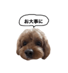 だふさんの使えるスタンプ（個別スタンプ：17）