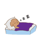 ぼくクッキー（メッセージver.）（個別スタンプ：4）