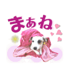 愛犬♡ハナコのスタンプ13（個別スタンプ：6）