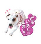 愛犬♡ハナコのスタンプ13（個別スタンプ：21）