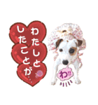 愛犬♡ハナコのスタンプ13（個別スタンプ：22）