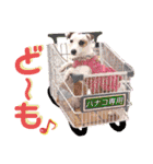 愛犬♡ハナコのスタンプ13（個別スタンプ：28）