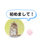 シマリスの絵（個別スタンプ：1）