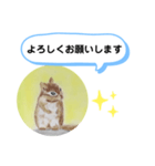 シマリスの絵（個別スタンプ：2）